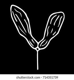 The fruit of maple vector illustration. Doodle style. Design icon, print, logo, poster, symbol, decor, textile, paper, card. 