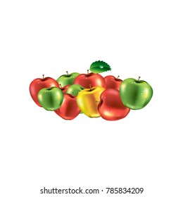 Fruit. Meal. Vector. Still life