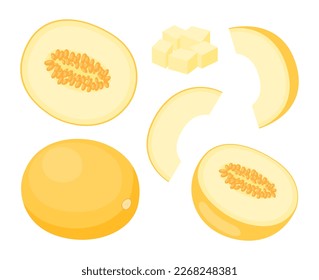 Fruit melon isolated on white background