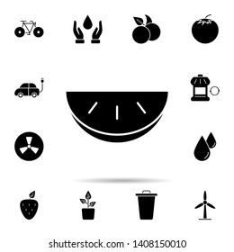 Fruit, melon, organic icon. Universal set of ecology for website design and development, app development