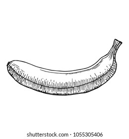 Fruit Menu - Banana - hand-drawn objects vector illustration