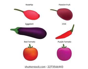 Obstmaschenfüllung mit Rosshaf, Eierpflanze, Chilis, Tomate, Passionsfrucht, violetter Tomate