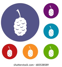 Fruit of mulberry icons set