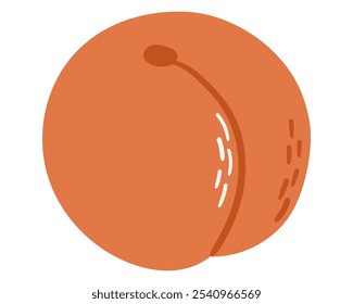 Fruit Nectarine in cartoon hand drawn simple style. Editable variable color