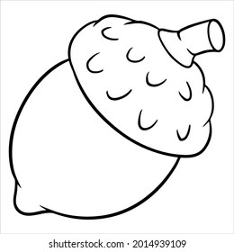 The fruit of the oak is edible. An acorn with a hat and a twig. Line style. Vector illustration for design and decoration.