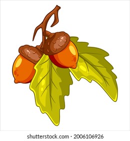 The fruit of the oak is edible. Two acorns on a branch with leaves. Cartoon style. Vector illustration for design and decoration.