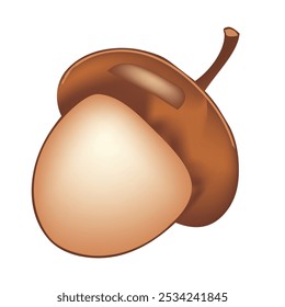 The fruit of the oak tree, a smooth oval nut in a rough cup-shaped base. Vector illustration.