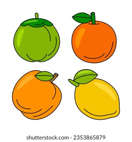 fruit objects vector illustrations set