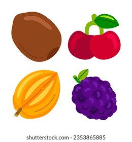 fruit objects vector illustrations set