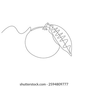 Fruit orange continuous line. Continuous one line drawing Fruit orange. Healthy fruit concept. single line drawing