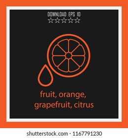 fruit, orange, grapefruit, citrus  vector icon