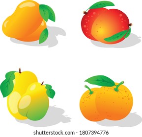
Fruit Orange green yellow vector illustration png