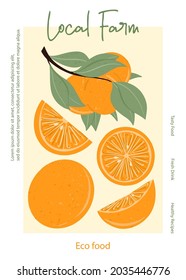 Fruit orange juice packaging design. Orange fruits on branch with leaves vector hand drawn local farm illustration. Orange slices, half mandarin. Tangerine, vitamin, juicy fruits for farm market.