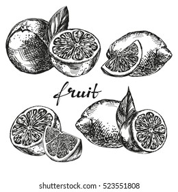 fruit orange, lemon and lime set hand drawn vector illustration realistic sketch