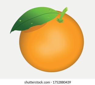 diseño con logo de naranja frutal, logo de naranja fresco, naranja jugo.
