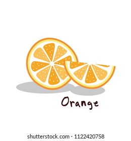 Fruit orange vector