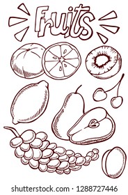 Fruit outline vector illustration set of hand drawing sketch