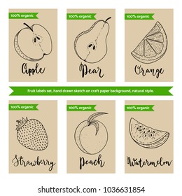 Fruit packaging design template, hand drawn ink sketches  on craft recycle paper tags, with hand written bounce lettering, modern calligraphy names apple, orange, pear, peach, strawberry, watermelon.