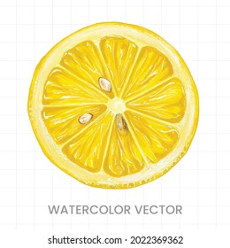 fruit painted in watercolor on white