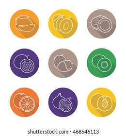 Fruit pairs flat linear long shadow icons set. Mango pieces, halved plum, open coconut, cutted passion fruit, orange, fig, peach, peeled litchi, kiwifruit half . Vector line symbols
