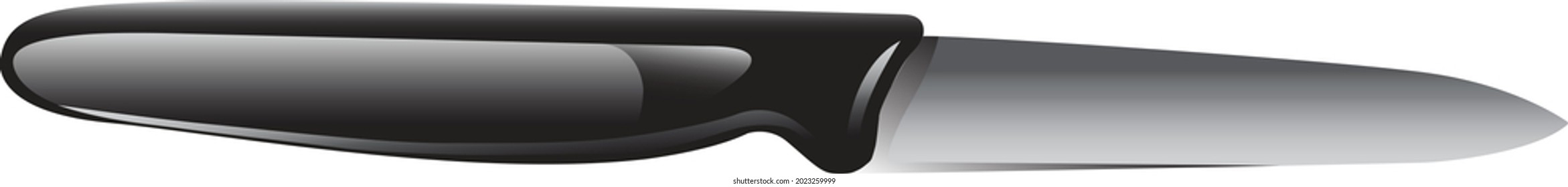 Fruit paring knife for use in the kitchen