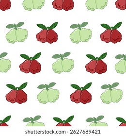 Fruit pattern illustration on white background