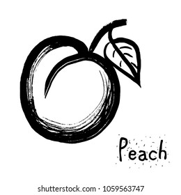 Fruit peach illustration vector