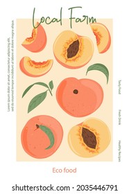 Fruit Peach Juice Vector Hand Drawn Poster Design. Ripe Peaches, Whole And Sliced From Local Farm. Sweet Nectarine Fruits Card Concept. Peach Seed, Leaves. Juice, Chips Or Jam Poster Concept.