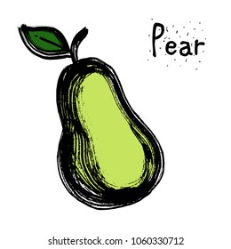 Fruit pear color illustration vector