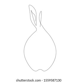 Fruit pear on white background, vector illustration
