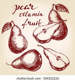 fruit pear set hand drawn vector llustration realistic sketch