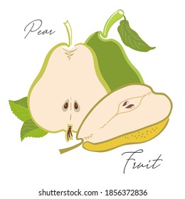 Fruit pear simplified for logo, design, backgrounds, patterns. Vector illustration, handmade, full color.