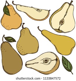 Fruit pear, vector, color