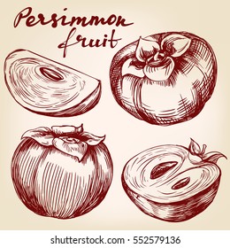 fruit persimmon set hand drawn vector illustration realistic sketch