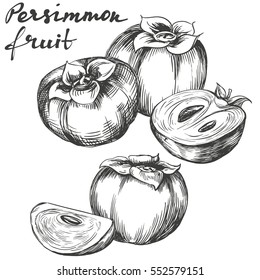 fruit persimmon set hand drawn vector illustration realistic sketch