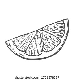 Fruit piece lemon slice tea ingredient isolated sketch vector food growing agriculture market garden