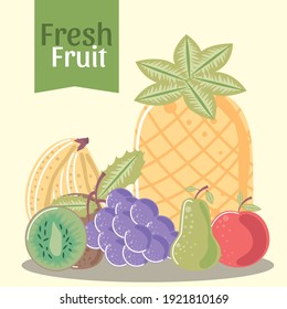 fruit, pineapple apple pear grapes banana and kiwi fresh vector illustration