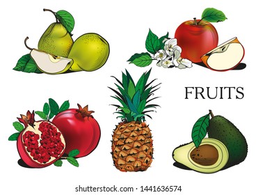 fruit pineapple Apple pear pomegranate useful properties