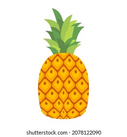 fruit pineapple cartoon vector isolated object