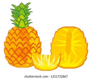 Fruit of the pineapple on white background insulated