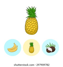 Fruit  Pineapple on White Background , Set of Three Round Colorful Icons Banana, Pineapple and Coconut , Vector Illustration