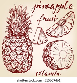 fruit pineapple set hand drawn vector llustration realistic sketch