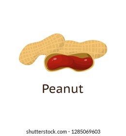 The fruit of the plant is a hard-shelled nut with an edible core.