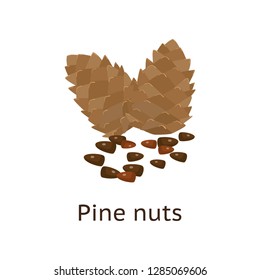 The fruit of the plant is a hard-shelled nut with an edible core.
