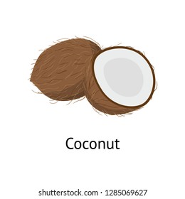 The fruit of the plant is a hard-shelled nut with an edible core.