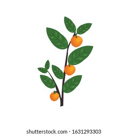 Fruit Plants Vector Illustration Vector Isolated Stock Vector (Royalty ...