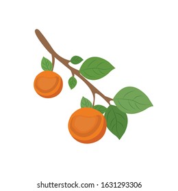 Fruit Plants Vector Illustration - Vector isolated icons illustration