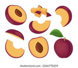 Fruit plum isolated on white background