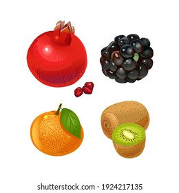 Fruit. Pomegranate, blackberry, orange, kiwi. Vector illustration isolated on white background.