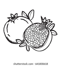 fruit pomegranate hand drawn